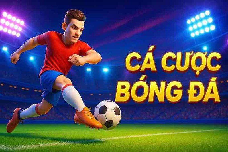 Cá Cược Bóng Đá 58VIN – Thể Thao Trực Tuyến Hấp Dẫn